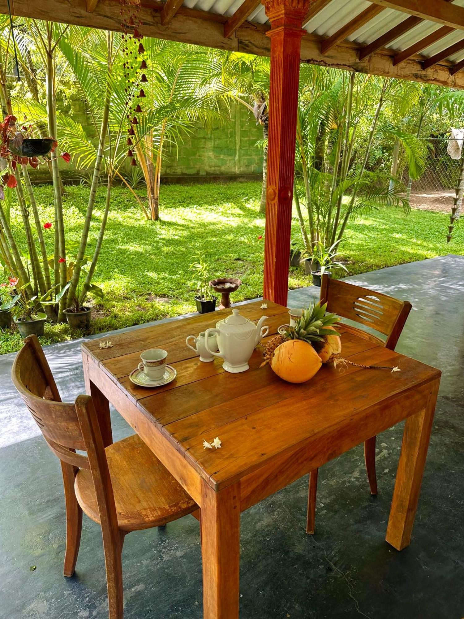 Jasmin Homestay Marakolliya Tangalle Εξωτερικό φωτογραφία