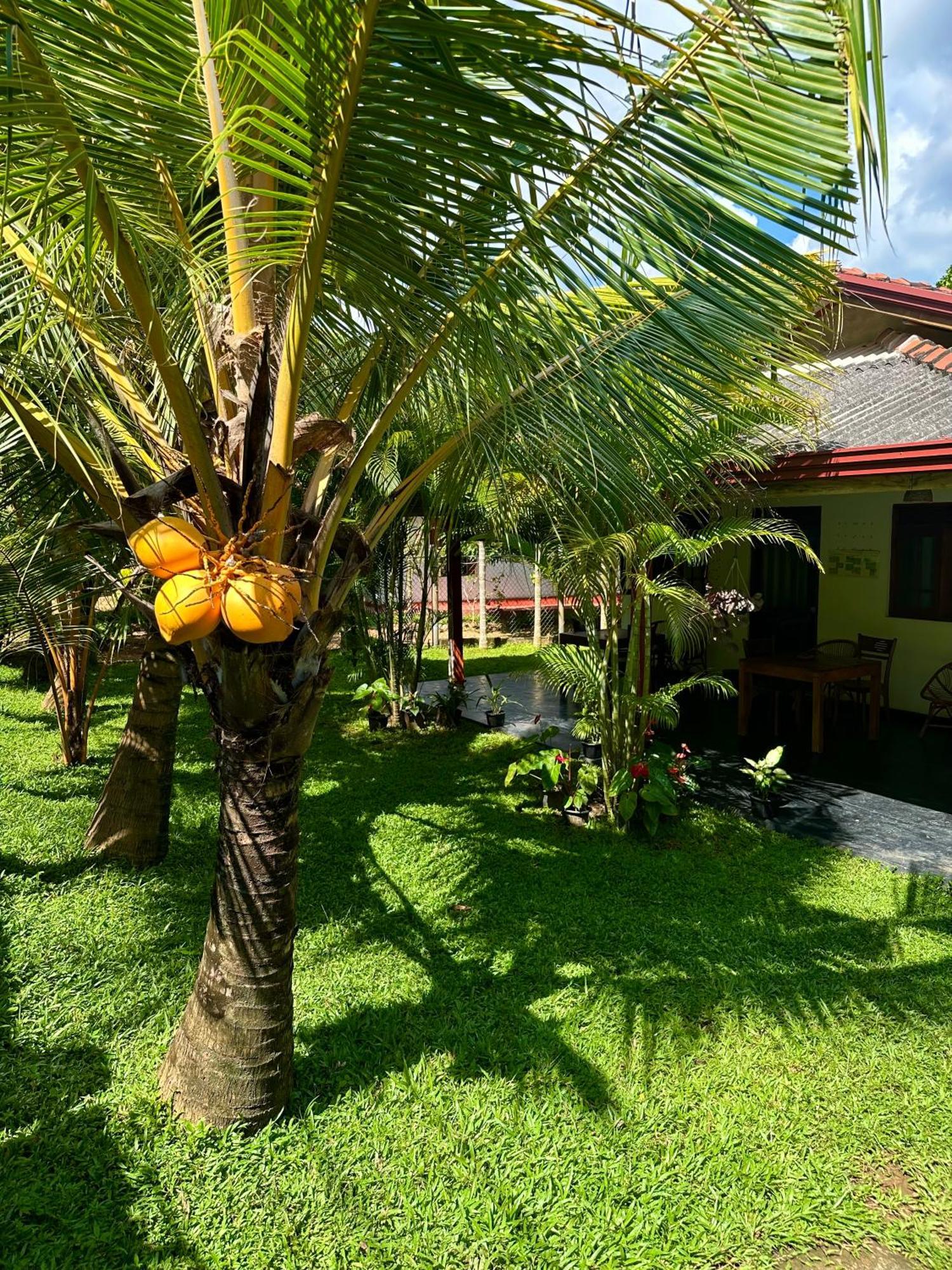 Jasmin Homestay Marakolliya Tangalle Εξωτερικό φωτογραφία