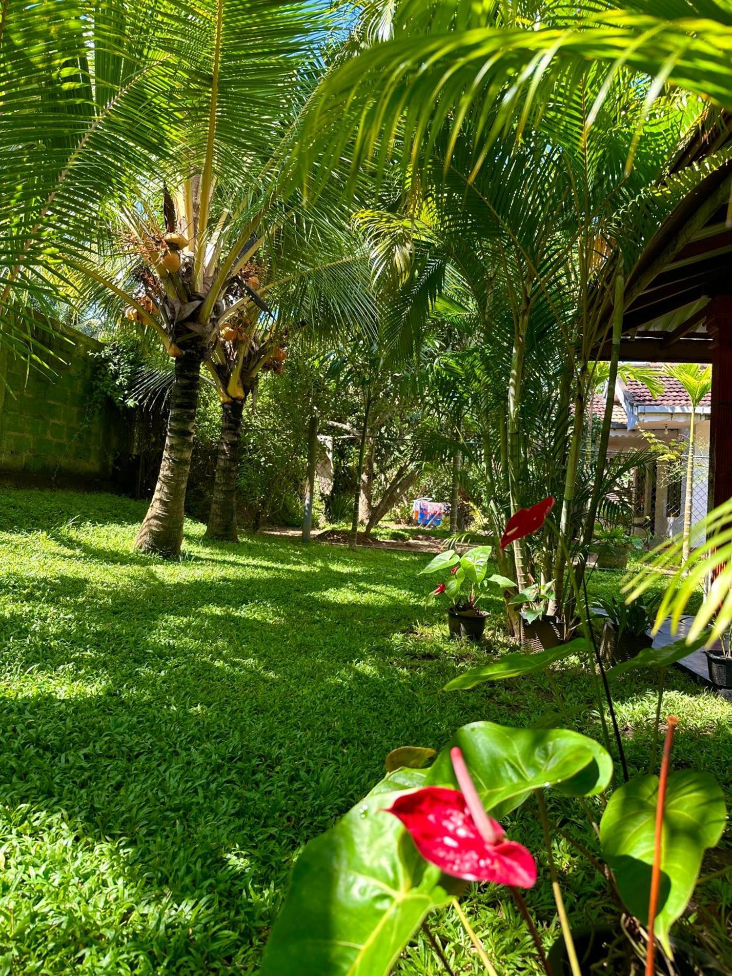 Jasmin Homestay Marakolliya Tangalle Εξωτερικό φωτογραφία