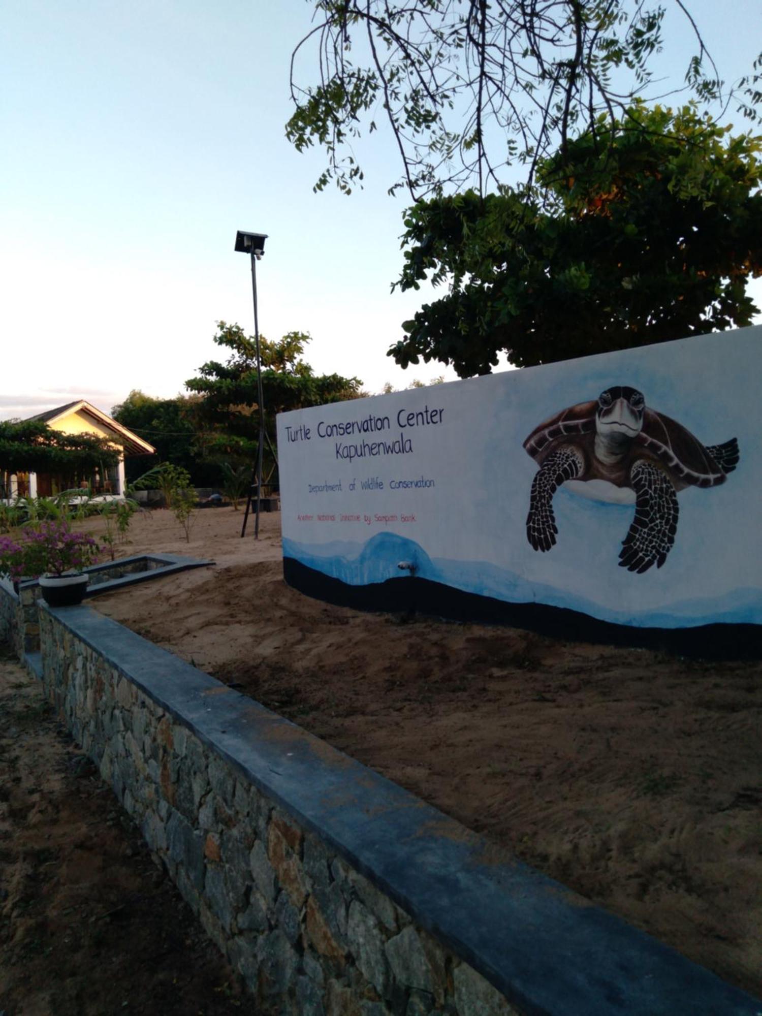Jasmin Homestay Marakolliya Tangalle Εξωτερικό φωτογραφία